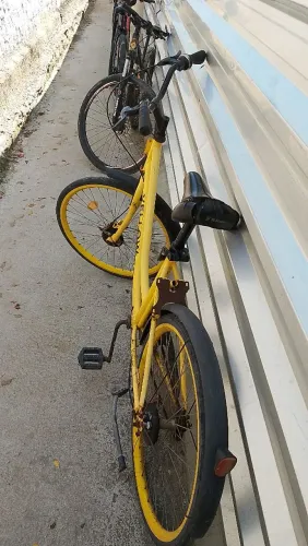 Bicicleta