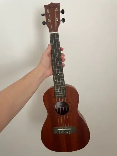 Ukulele 