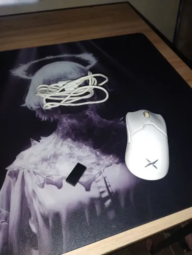 Mouse Delux M800