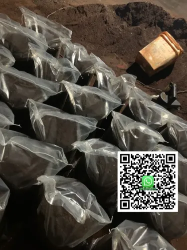 TERRA PRETA PREPARADA PARA CANTEIROS