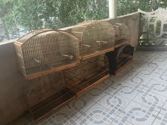 Gaiolas diversos tamanhos 