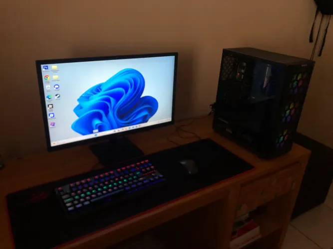 Pc gamer 