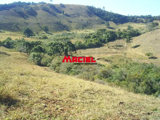 SITIO COM 14 HECTARES PASTO FORMADO E BOM ACESSO PARA CHEGAR.
