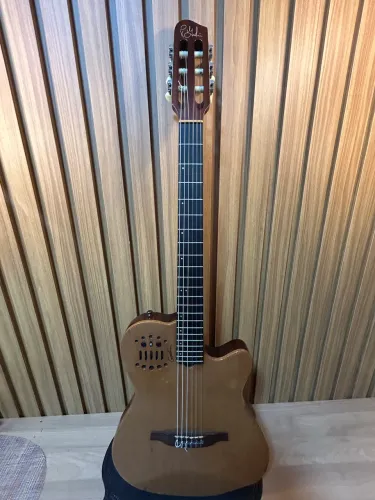 Godin violão 