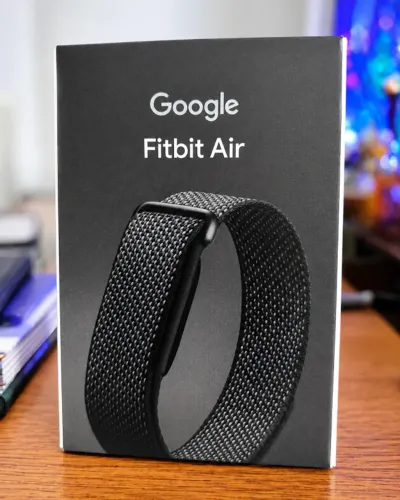 Google Fitbit Air