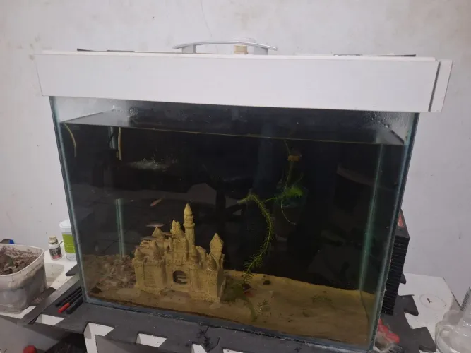 Aquário