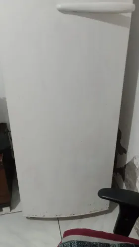 Frezeer vertical
