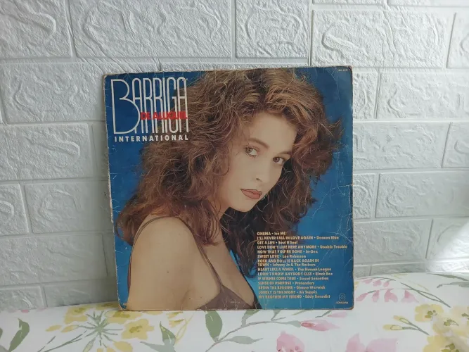Disco de vinil Novela Barriga de Aluguel Internacional 