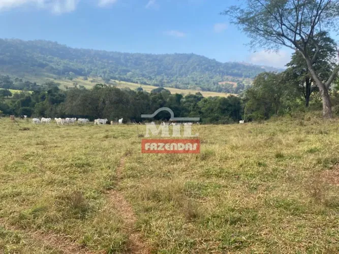 Chacara 7 alqueirres (33,88 hectares) Heitorai - GO