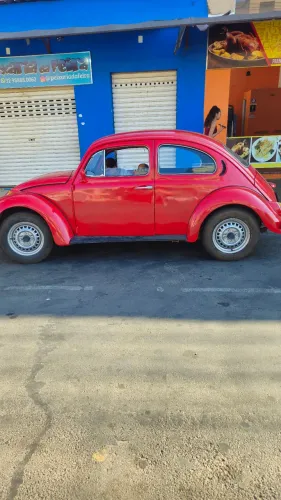 Volkswagen Fusca Fusca (gasolina) 1977
