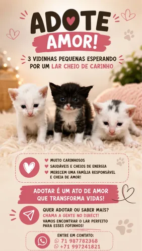 Doação responsável