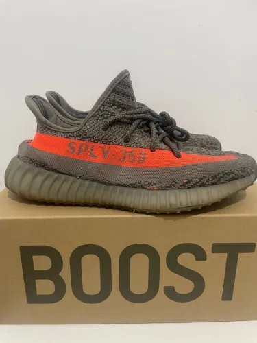 Beluga 41