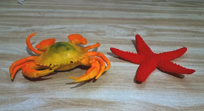 Réplica miniatura de siri e estrela do mar