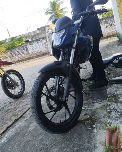 Fan 2025