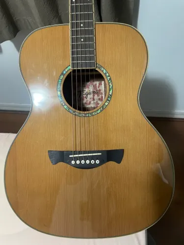 Violão Tagima série Canadá 