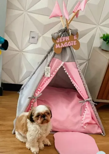 Cabana cachorro NOVA na embalagem.
