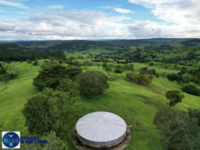 Fazenda à Venda em Itapaci GO | 230 Alqueires | Pecuária de Alta Produção