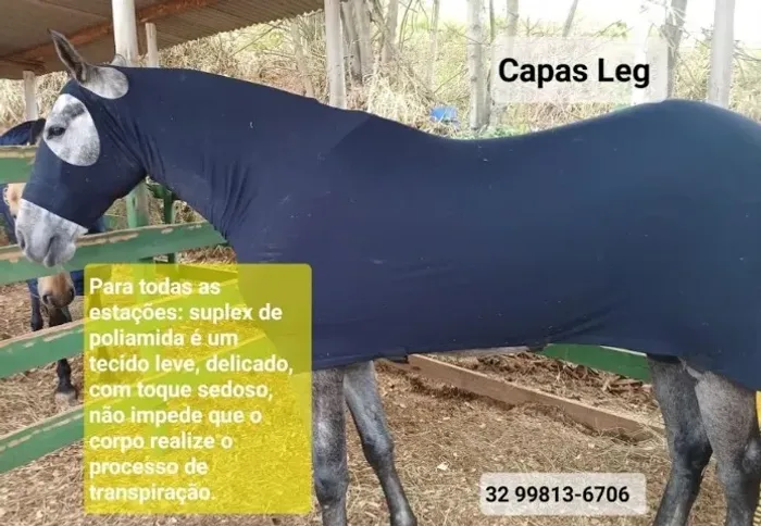 Capa legging para cavalo - VENDO OU TROCO