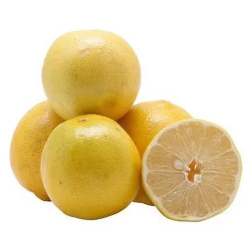 Mudas de Laranja Lima da Pérsia Enxertada - Prontas para Produzir 