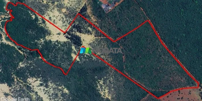 FAZENDA À VENDA - 43 HECTARES - MORADA NOVA DE MINAS (MG)