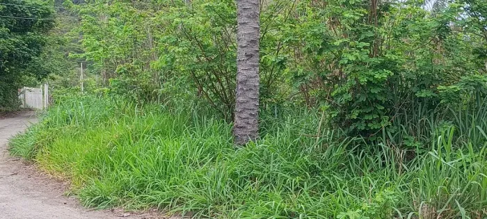 Vendo terreno área urbana, campo. 120 mt