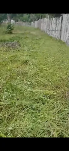 Vendo 2  terrenos em Mosqueiro 