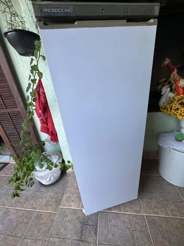 Freezer Prosdócimo 127v 220l