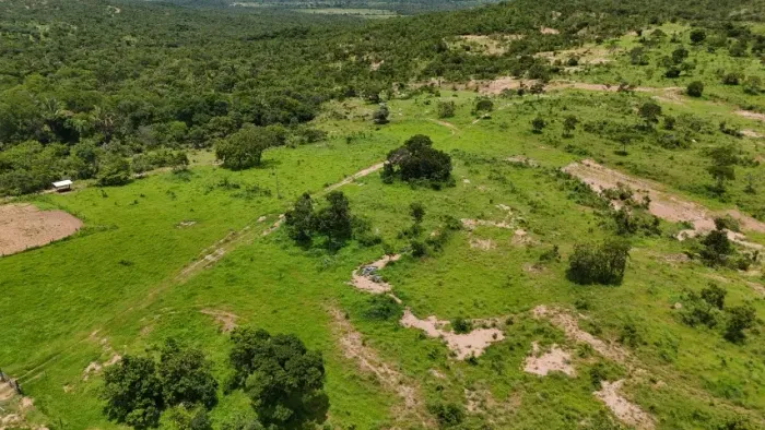 Fazenda para Gado a venda em São João D'Aliança-GO, vendida de porteira fechada.