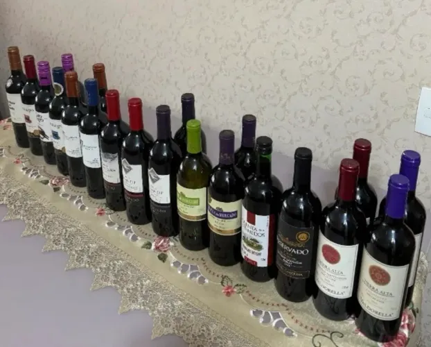 Vinhos Diversos - 5 Unidades