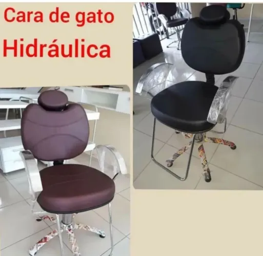 Cadeira Hidráulica Cara de Gato