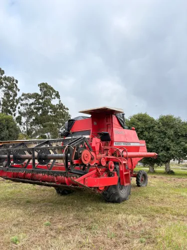 MF 3640