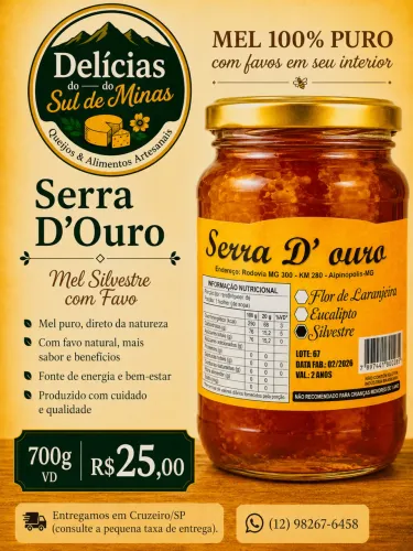 MEL 100% PURO DO SUL DE MINAS COM FAVOS