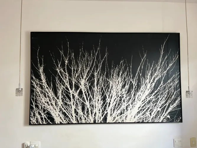 Lindíssimo quadro com moldura preta