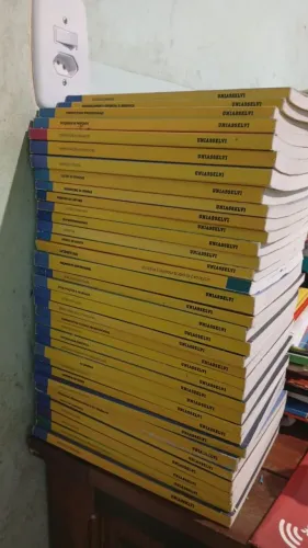 Lote Livros Uniasselvi