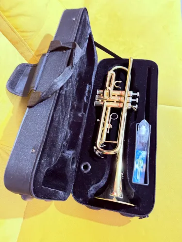 Trompete Michael Bb Wtrm30 laqueado 3 válvulas