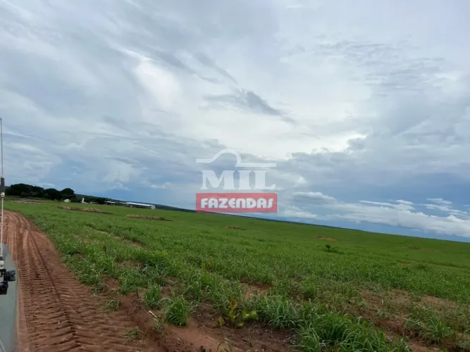 ARRENDAMENTO AGRÍCOLA CENTENÁRIO TO 2.600 Hectares