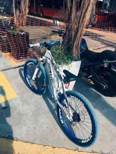 Bike avalanche Aro 26