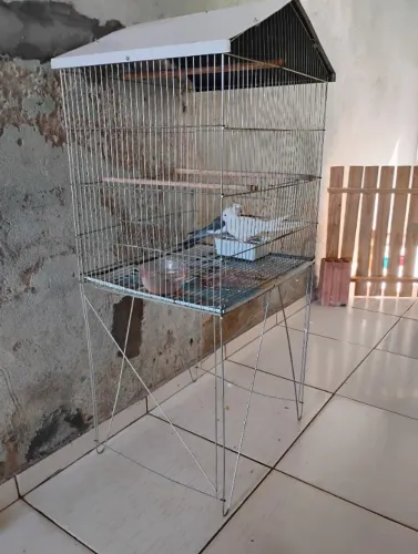 Estou vendendo completo como está na foto