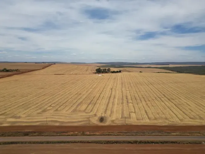 Fazenda a venda, em São João da Aliança - Goiás!