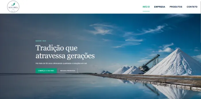 CRIAÇÃO DE SITE INSTITUCIONAL PARA EMPRESAS