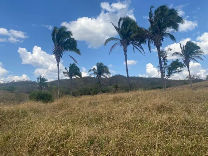 Fazenda à Venda, zona rural, Santa Cruz de Goiás, GO