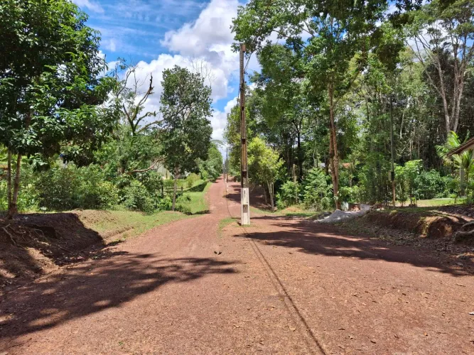 VENDO LOTE EM COND.ECOLÓGICO AMAZONFLORA-BENEVIDES/PA 