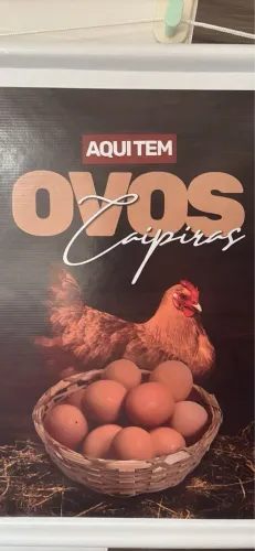 Vendo Ovos Caipiras