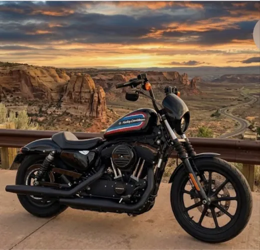Harley iron 1200 2020