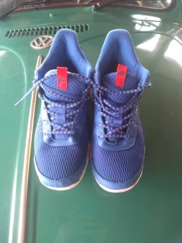 tenis