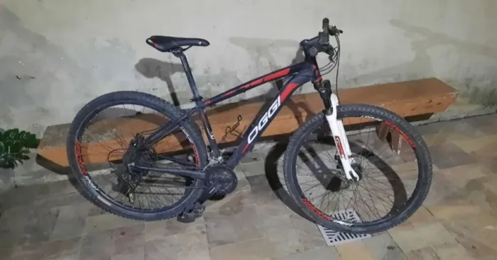 Bicicleta OGGI ARO 29