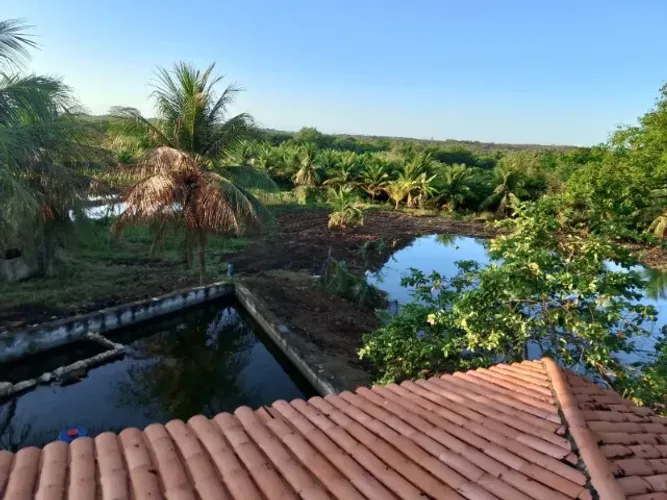 Lindo Sítio Produtivo de 30.000m2 no Centro de Pentecoste