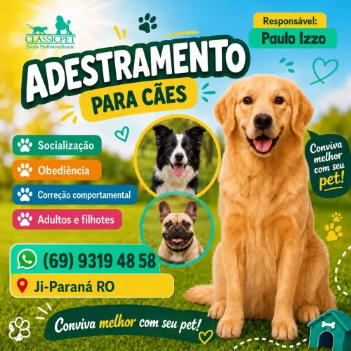 Adestramento para cães 