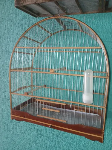 vendo gaiola de curió