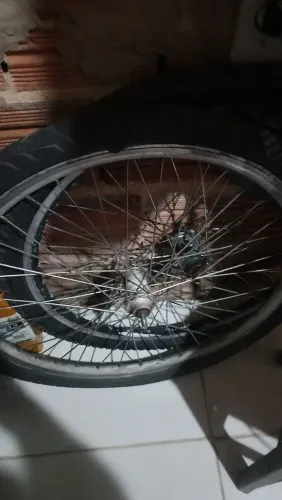 Ciclismo